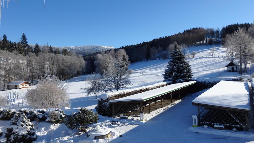 Landhotel Gruenwies -Bonsai-Wellness Garni (Adults Only) Lohberg Buitenkant foto